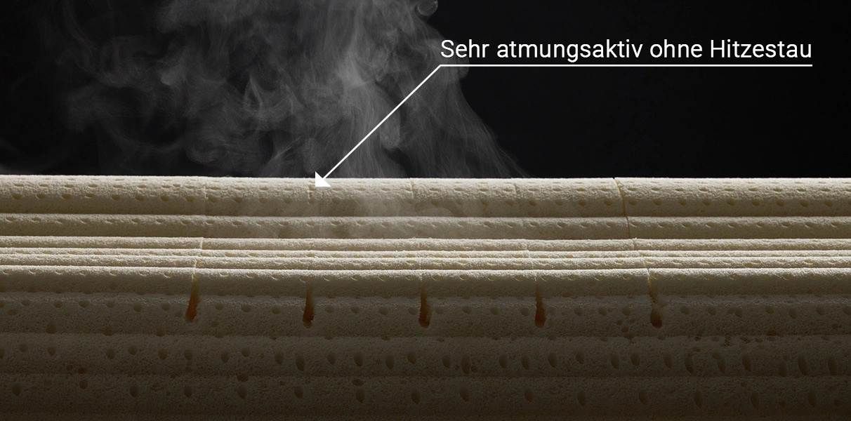 Sphinx Bio Nackenst�tzkissen Abbildung 4